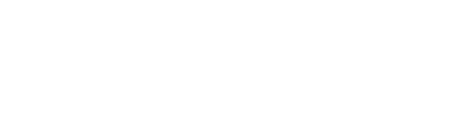 Expert Witness Institute Full Member
